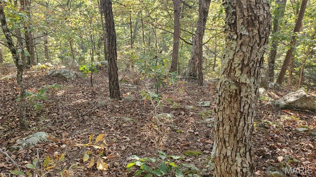 Photo 30 - Land for sale – 00  County Road 6030   Salem, MO