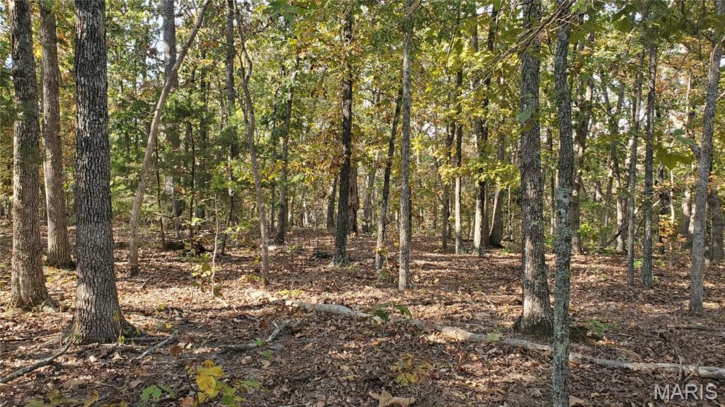 Photo 12 - Land for sale – 00  County Road 6030   Salem, MO