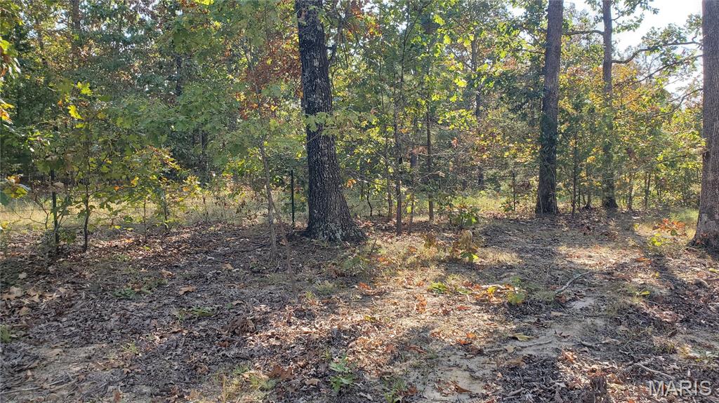 Photo 9 - Land for sale – 00  County Road 6030   Salem, MO