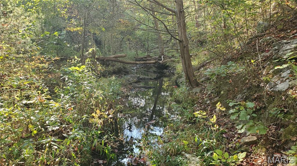 Photo 26 - Land for sale – 00  County Road 6030   Salem, MO