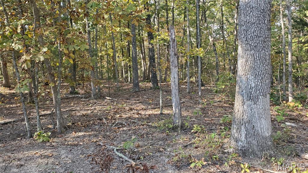 Photo 11 - Land for sale – 00  County Road 6030   Salem, MO