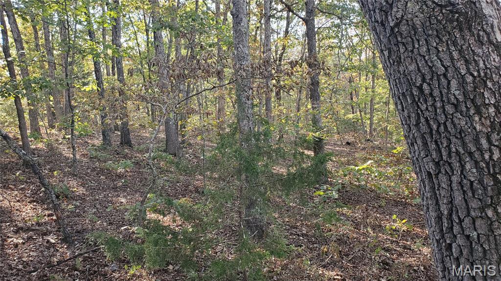 Photo 15 - Land for sale – 00  County Road 6030   Salem, MO