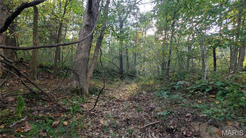 Photo 41 - Land for sale – 00  County Road 6030   Salem, MO