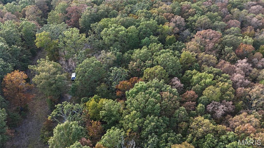 Photo 3 - Land for sale – 00  County Road 6030   Salem, MO