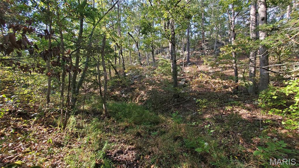 Photo 21 - Land for sale – 00  County Road 6030   Salem, MO
