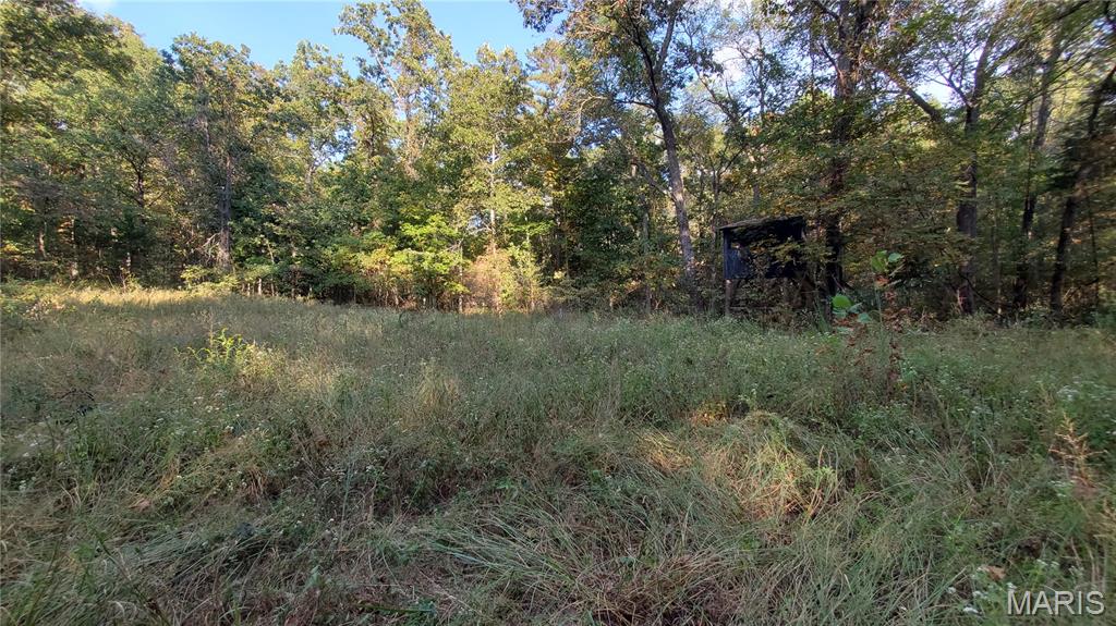 Photo 40 - Land for sale – 00  County Road 6030   Salem, MO