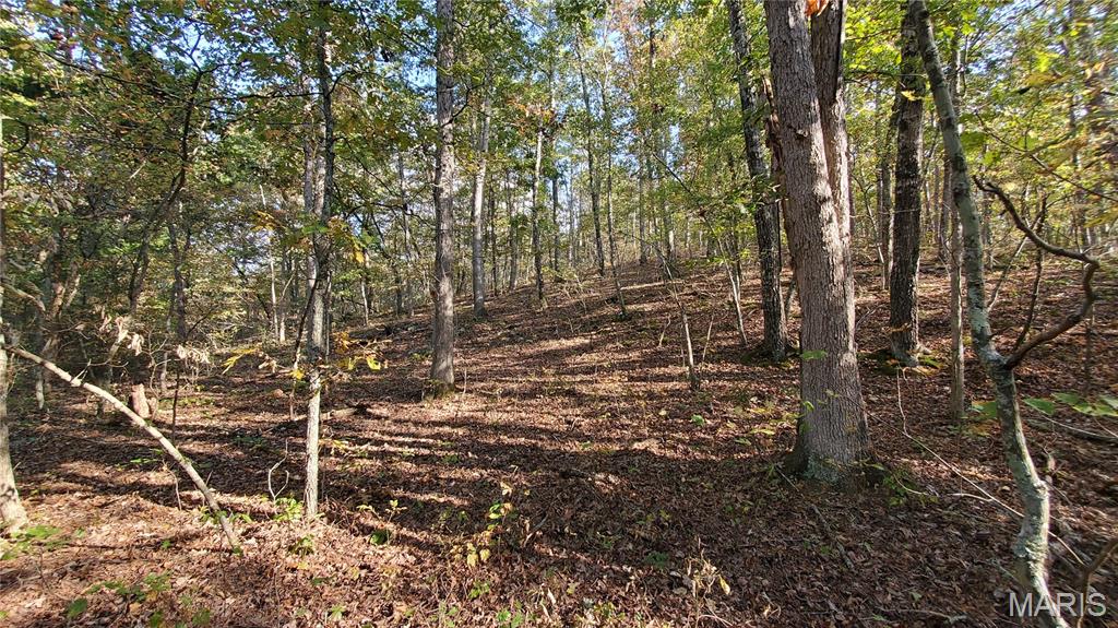 Photo 24 - Land for sale – 00  County Road 6030   Salem, MO