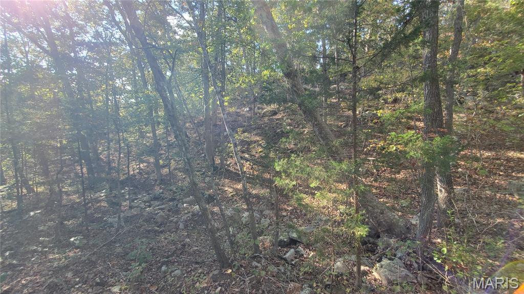 Photo 23 - Land for sale – 00  County Road 6030   Salem, MO
