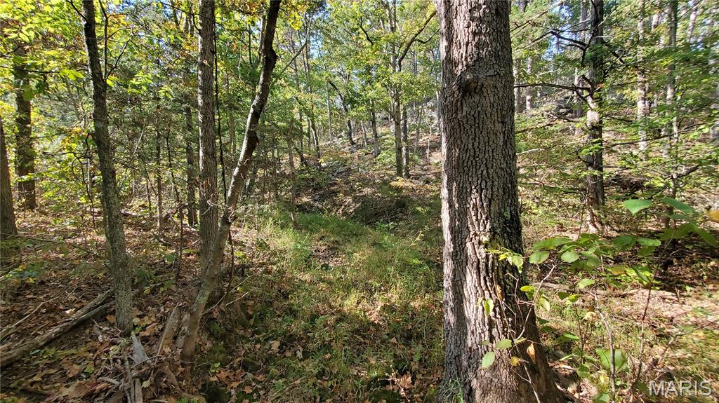 Photo 18 - Land for sale – 00  County Road 6030   Salem, MO