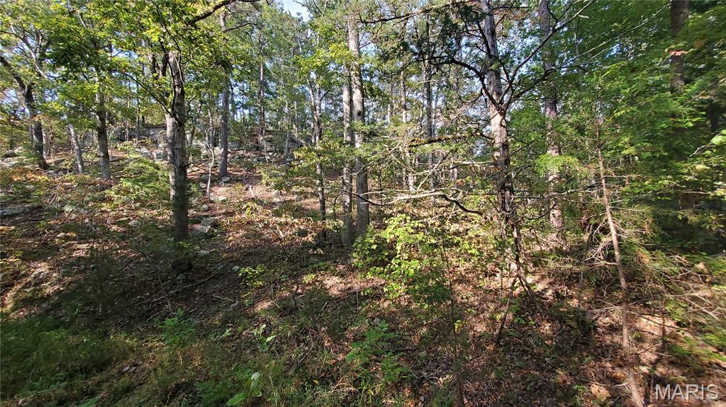 Photo 20 - Land for sale – 00  County Road 6030   Salem, MO