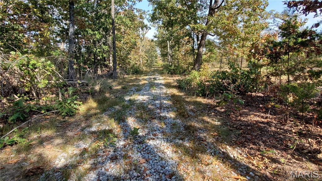 Photo 5 - Land for sale – 00  County Road 6030   Salem, MO