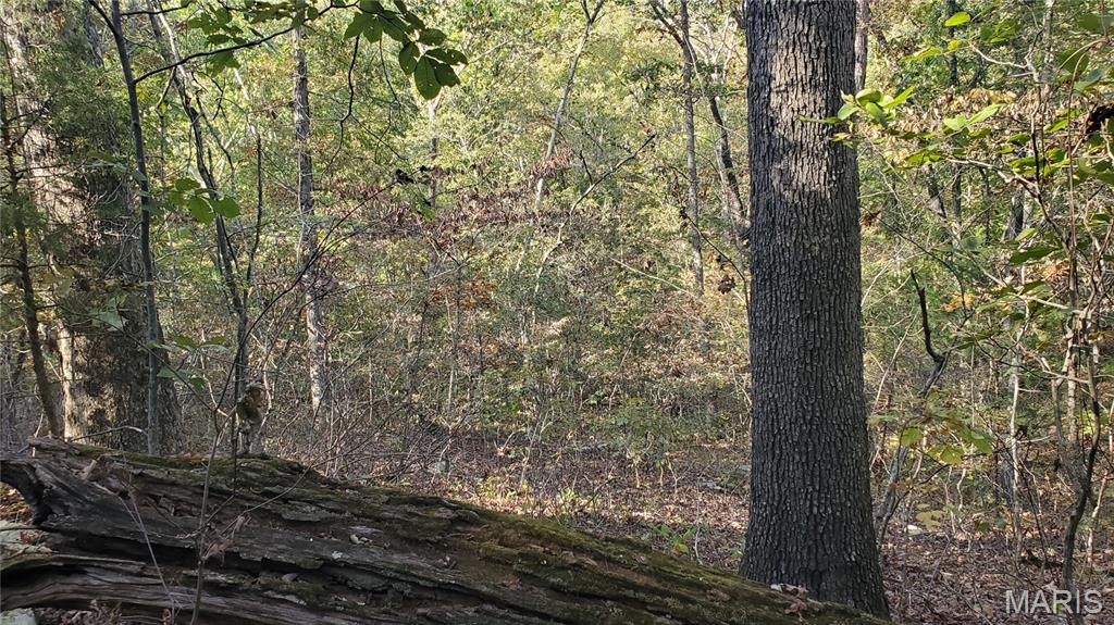 Photo 17 - Land for sale – 00  County Road 6030   Salem, MO