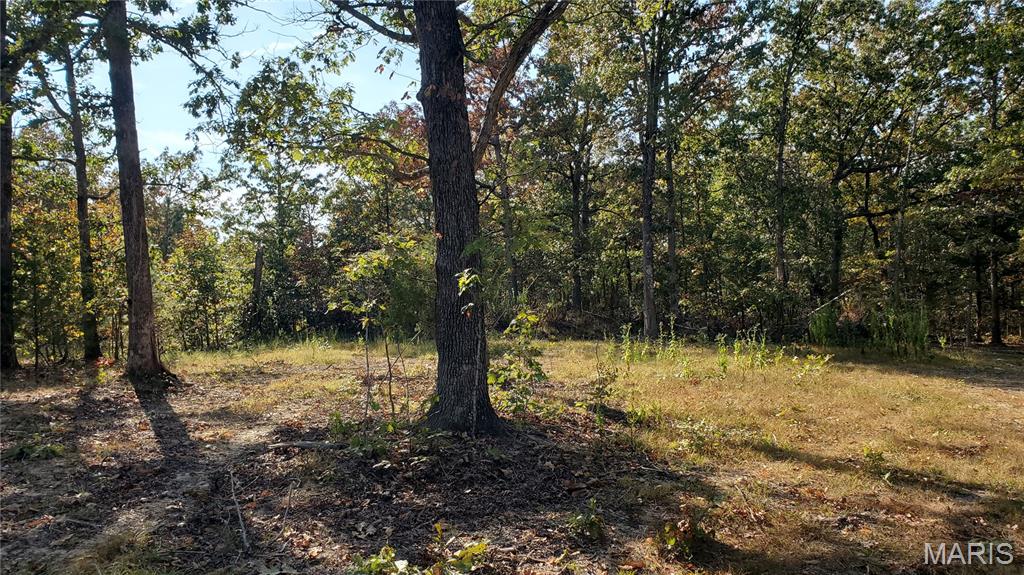 Photo 8 - Land for sale – 00  County Road 6030   Salem, MO