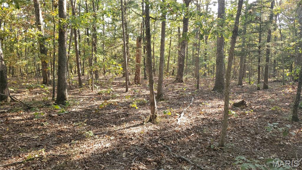Photo 33 - Land for sale – 00  County Road 6030   Salem, MO