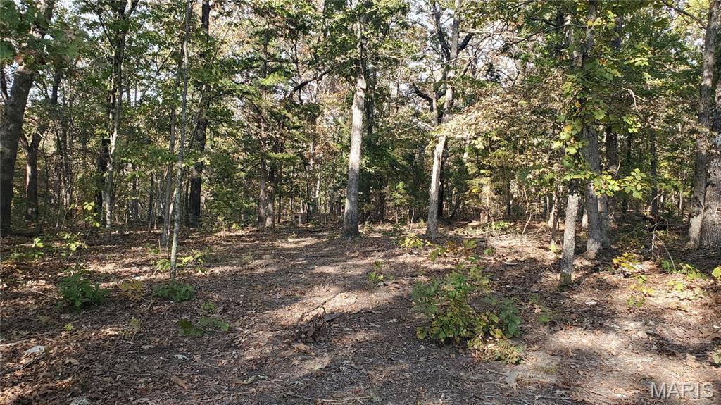 Photo 10 - Land for sale – 00  County Road 6030   Salem, MO