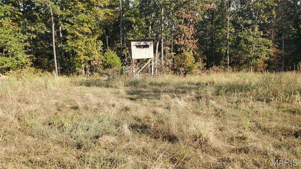 Photo 35 - Land for sale – 00  County Road 6030   Salem, MO