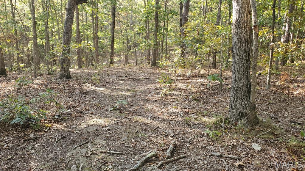 Photo 34 - Land for sale – 00  County Road 6030   Salem, MO