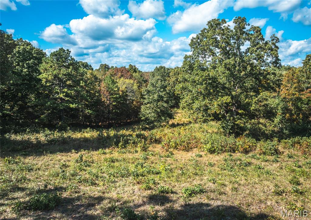 Photo 21 - Land for sale – 000  Private Drive 6388   Newburg, MO