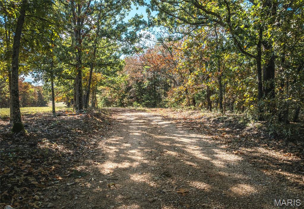 Photo 8 - Land for sale – 000  Private Drive 6388   Newburg, MO