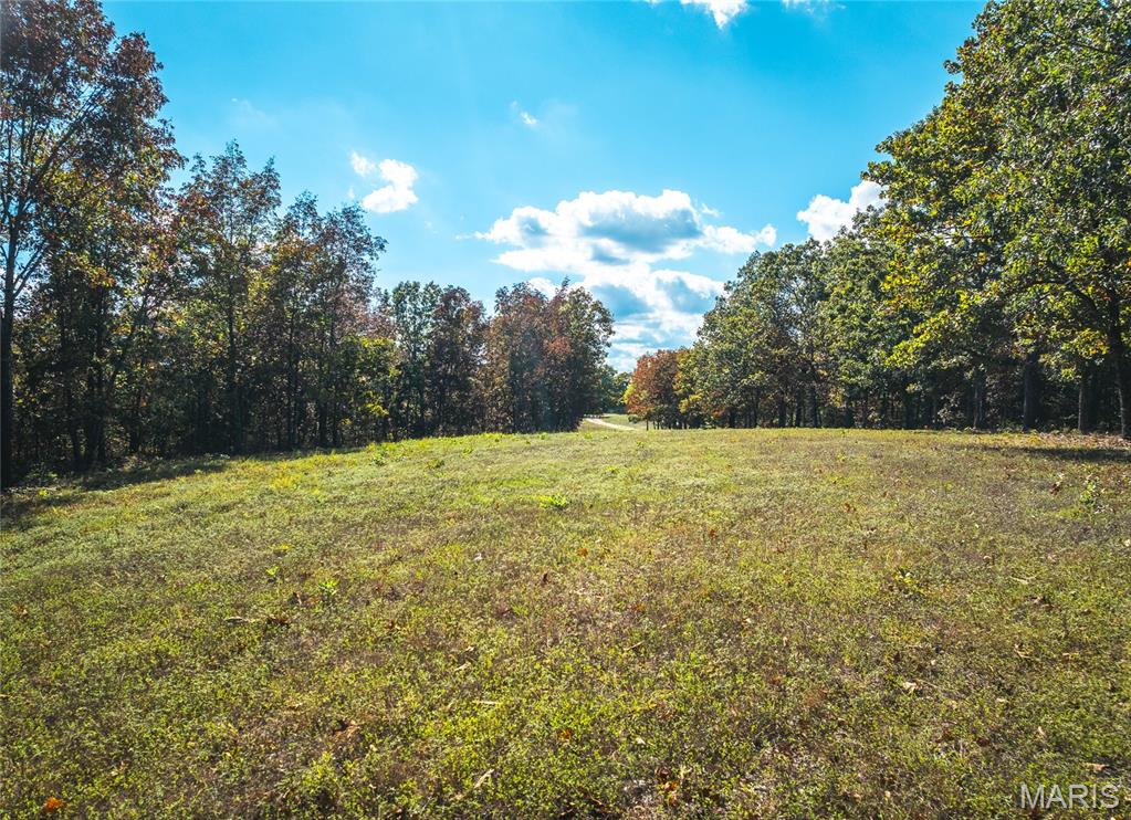 Photo 3 - Land for sale – 000  Private Drive 6388   Newburg, MO