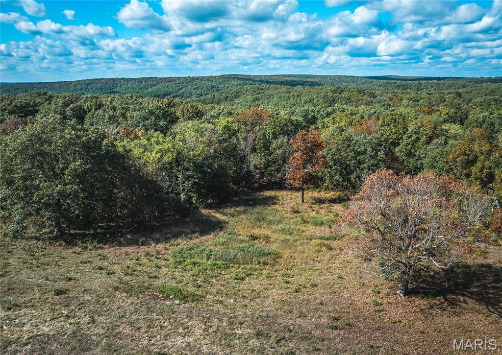 Photo 18 - Land for sale – 000  Private Drive 6388   Newburg, MO
