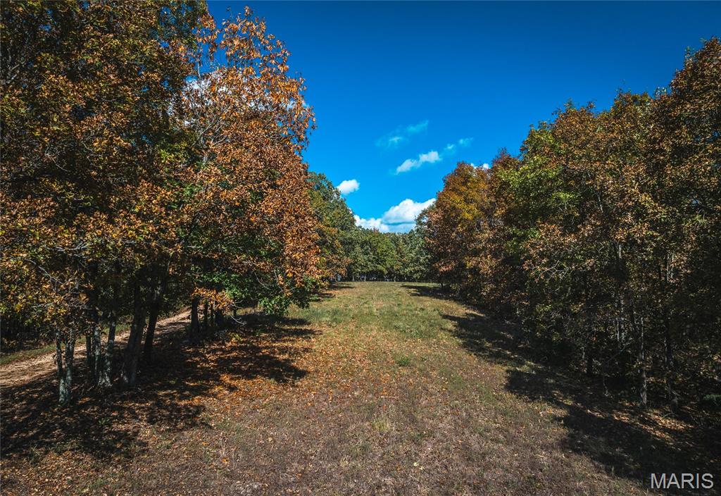 Photo 11 - Land for sale – 000  Private Drive 6388   Newburg, MO