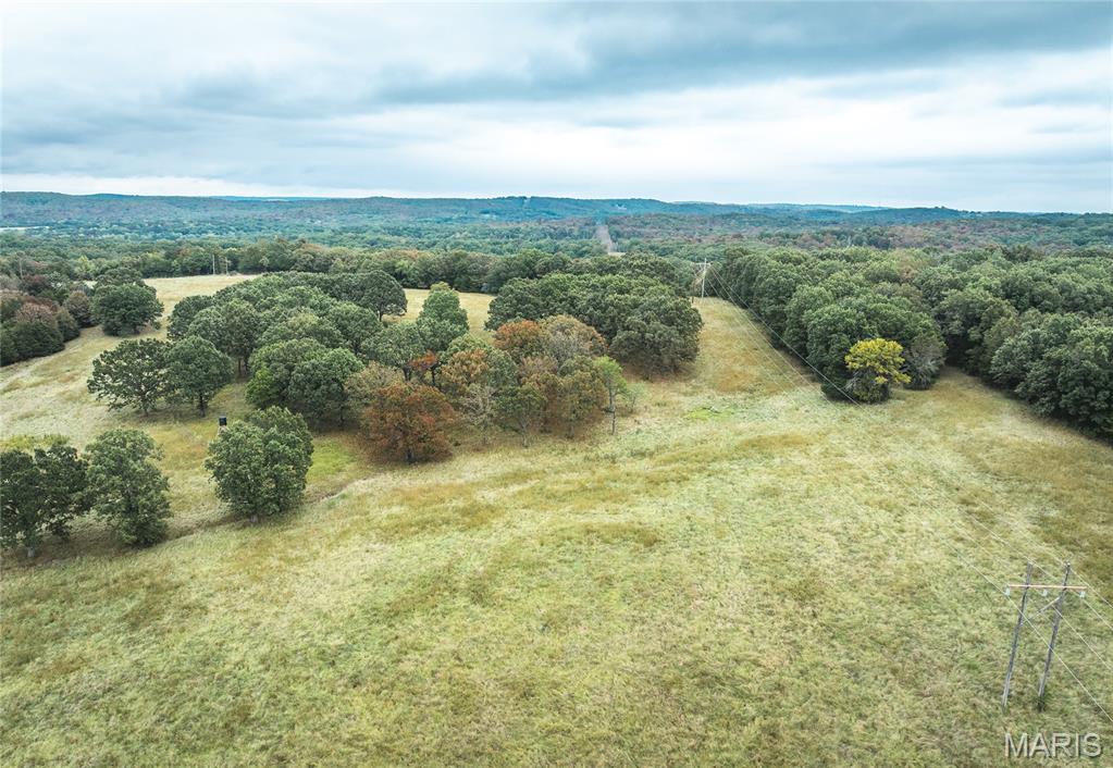 Photo 8 - Land for sale – Tract 3  County Road 8250   Rolla, MO