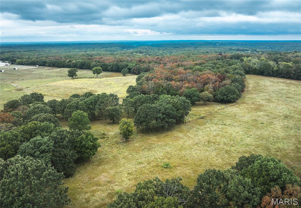 Photo 6 - Land for sale – Tract 3  County Road 8250   Rolla, MO