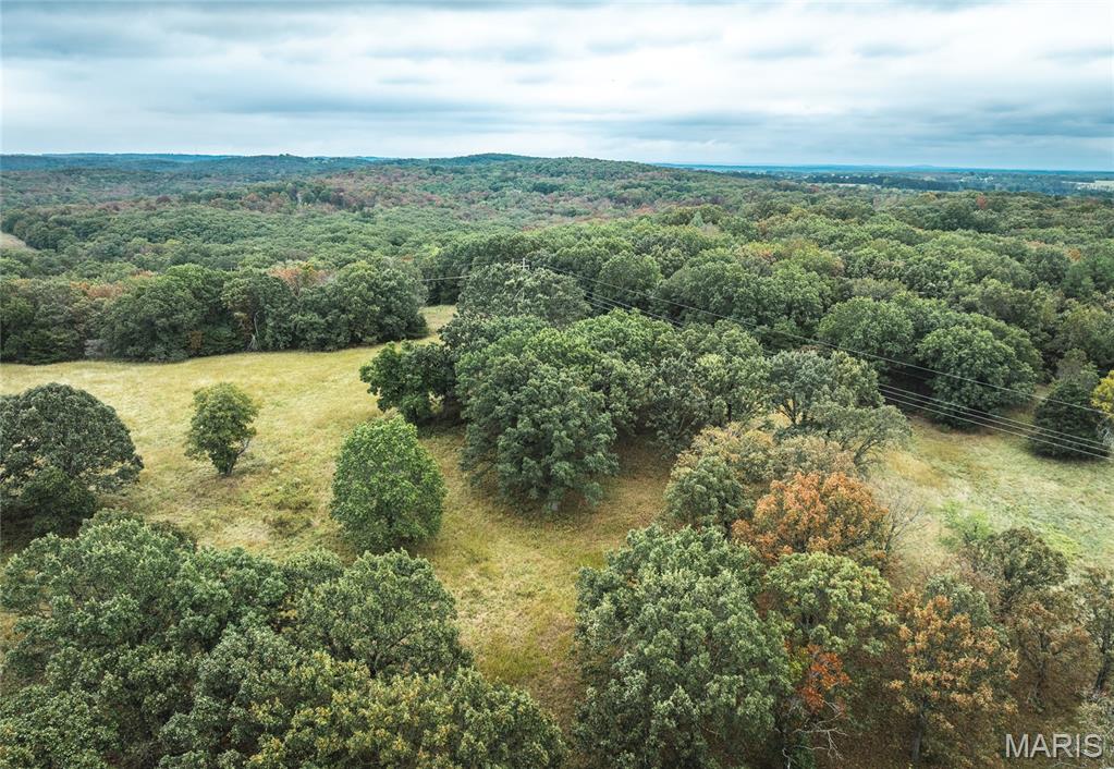 Photo 9 - Land for sale – Tract 3  County Road 8250   Rolla, MO