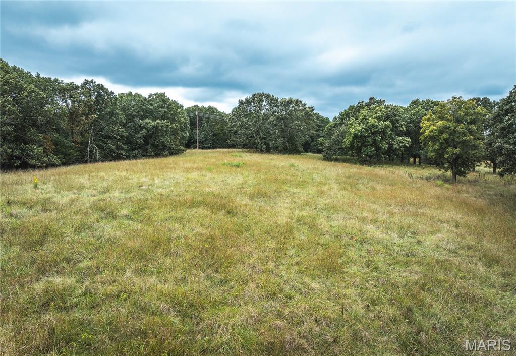 Photo 11 - Land for sale – Tract 3  County Road 8250   Rolla, MO