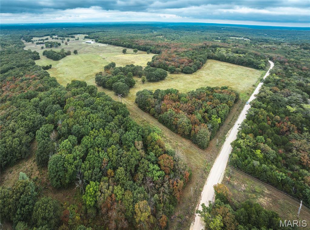 Photo 4 - Land for sale – Tract 3  County Road 8250   Rolla, MO