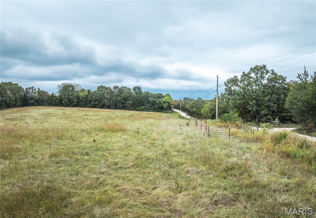 Photo 5 - Land for sale – Tract 2  County Road 8250   Rolla, MO