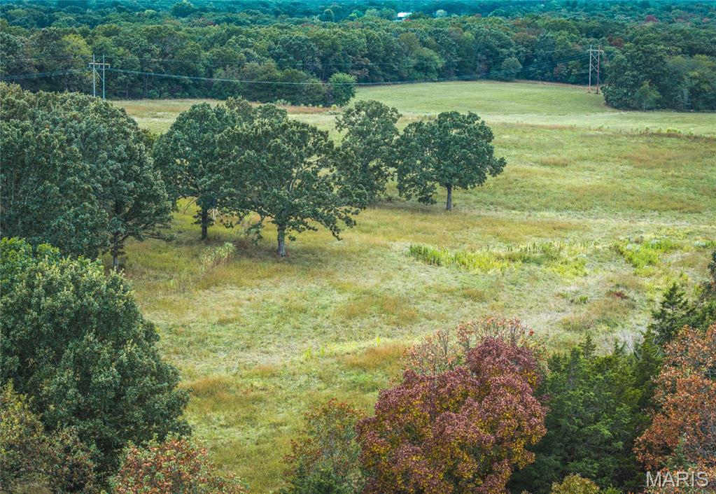 Photo 3 - Land for sale – Tract 2  County Road 8250   Rolla, MO