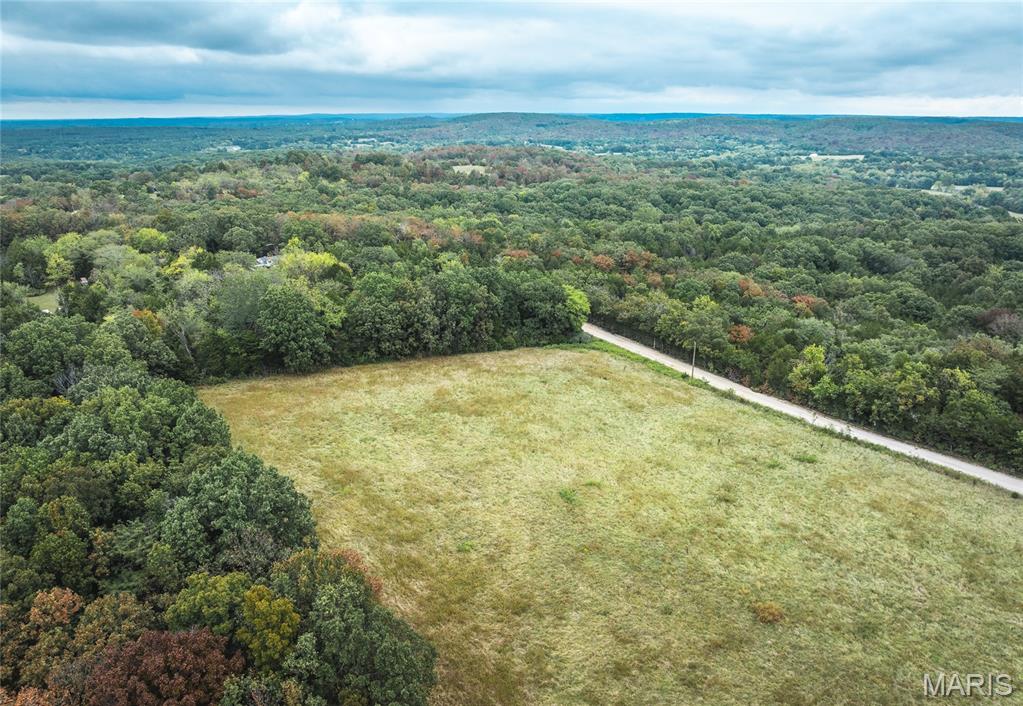Photo 4 - Land for sale – Tract 1  County Road 8250   Rolla, MO