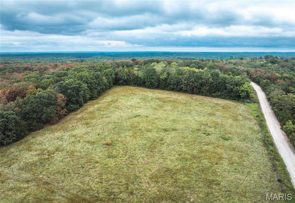 Photo 2 - Land for sale – Tract 1  County Road 8250   Rolla, MO