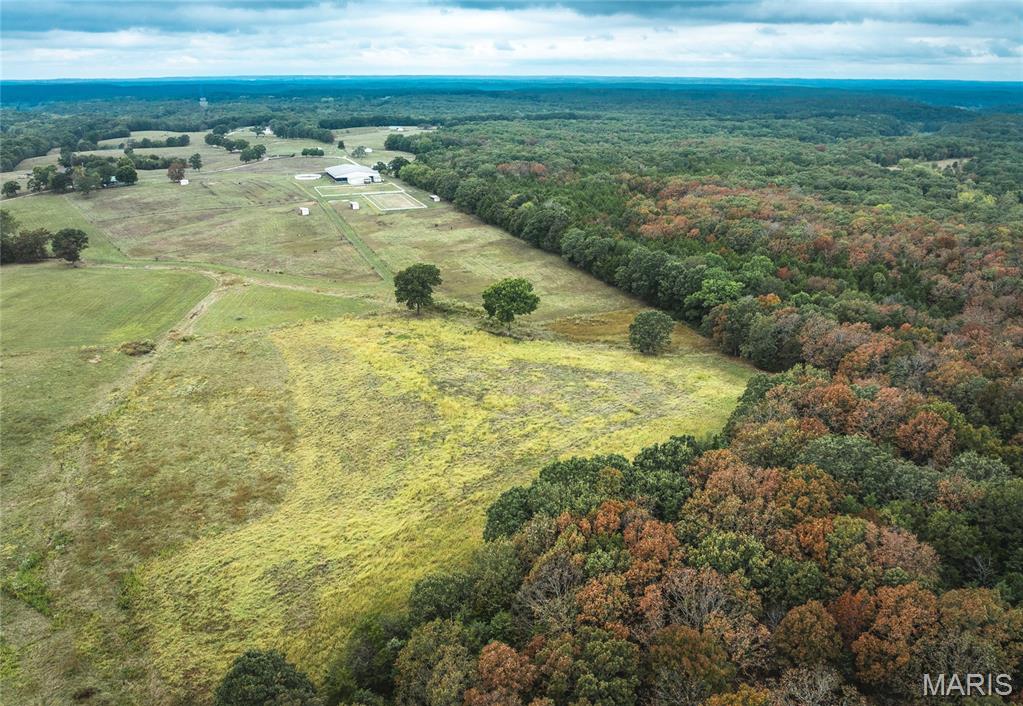 Photo 5 - Land for sale – Tract 1  County Road 8250   Rolla, MO
