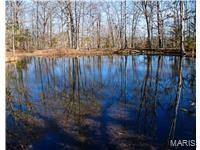 Photo 4 - Land for sale – 0  County Road 6130   Newburg, MO