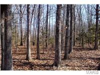 Photo 5 - Land for sale – 0  County Road 6130   Newburg, MO