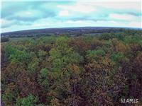 Photo 2 - Land for sale – 0  County Road 6130   Newburg, MO