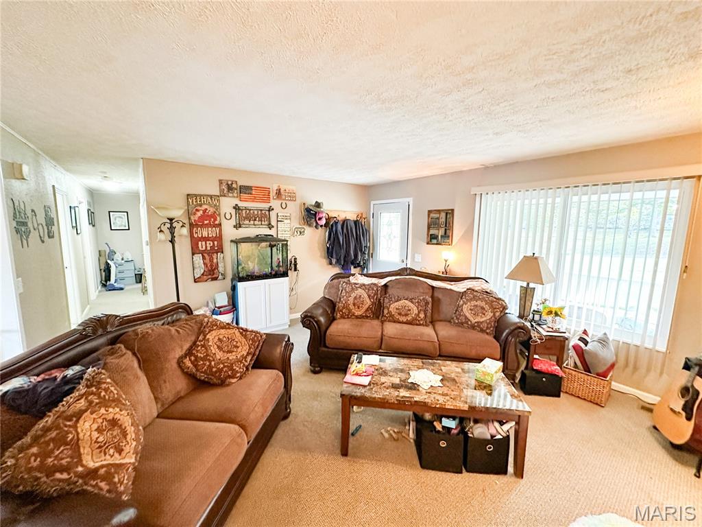 Photo 2 - Residential for sale – 71  County Road 4255   Salem, MO