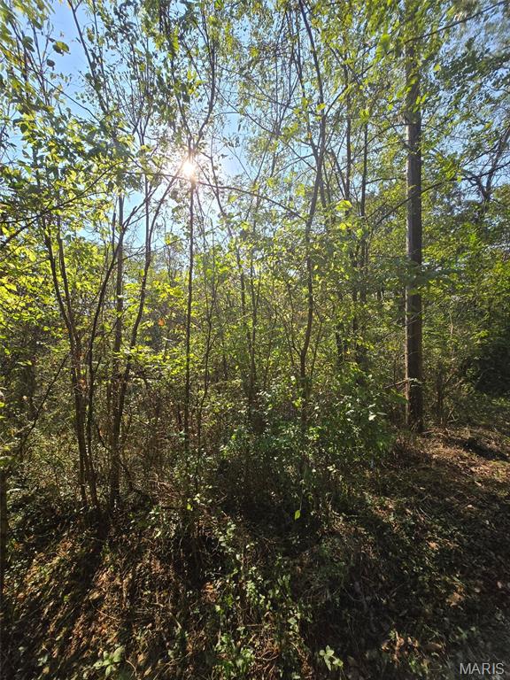 Land for sale – 570  Sycamore   Newburg, MO