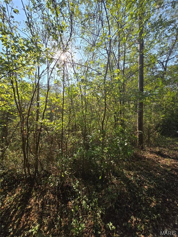 Photo 5 - Land for sale – 570  Sycamore   Newburg, MO