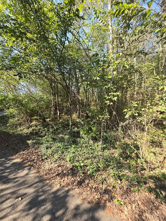 Photo 6 - Land for sale – 570  Sycamore   Newburg, MO