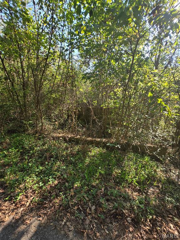 Photo 9 - Land for sale – 570  Sycamore   Newburg, MO