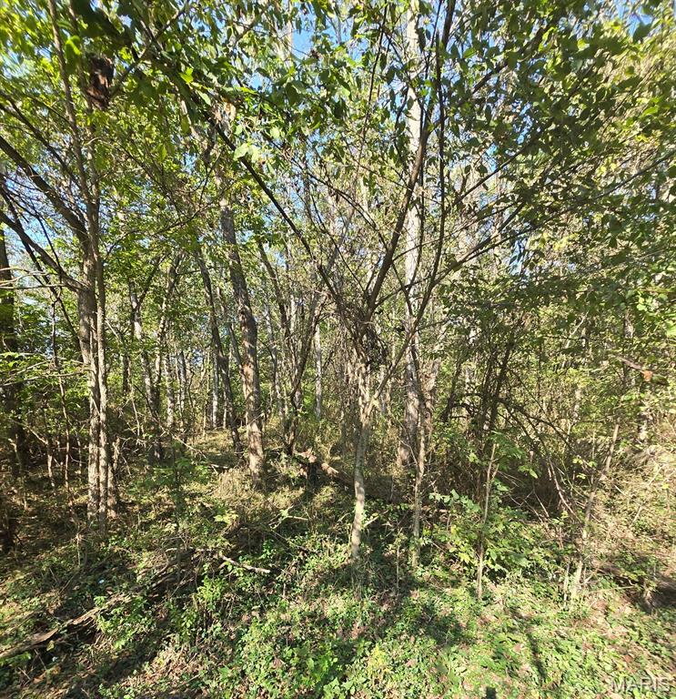 Photo 7 - Land for sale – 570  Sycamore   Newburg, MO