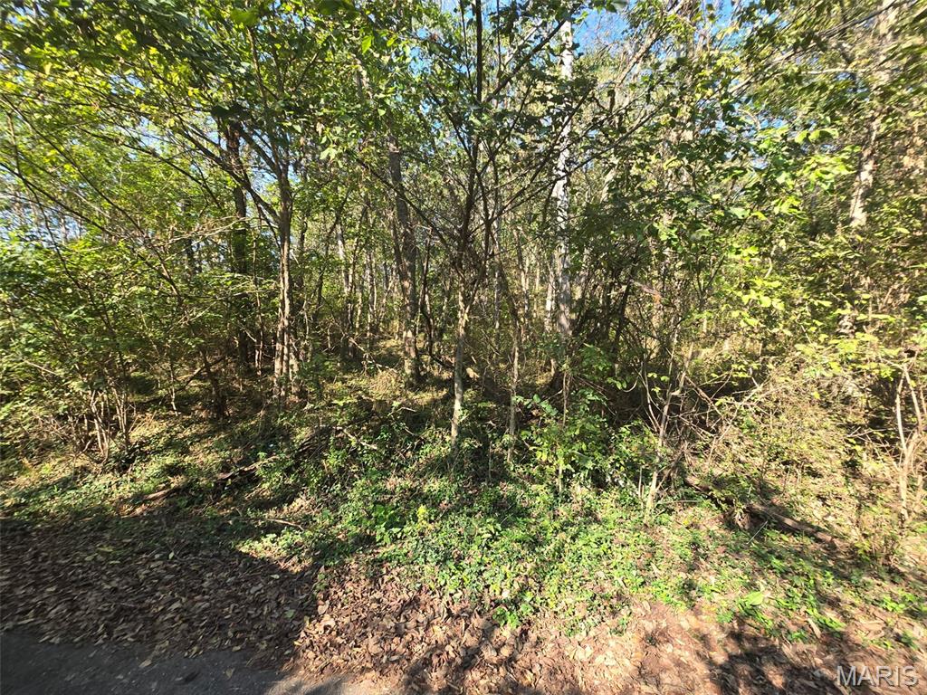 Photo 4 - Land for sale – 570  Sycamore   Newburg, MO