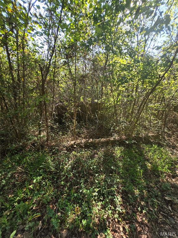 Photo 8 - Land for sale – 570  Sycamore   Newburg, MO