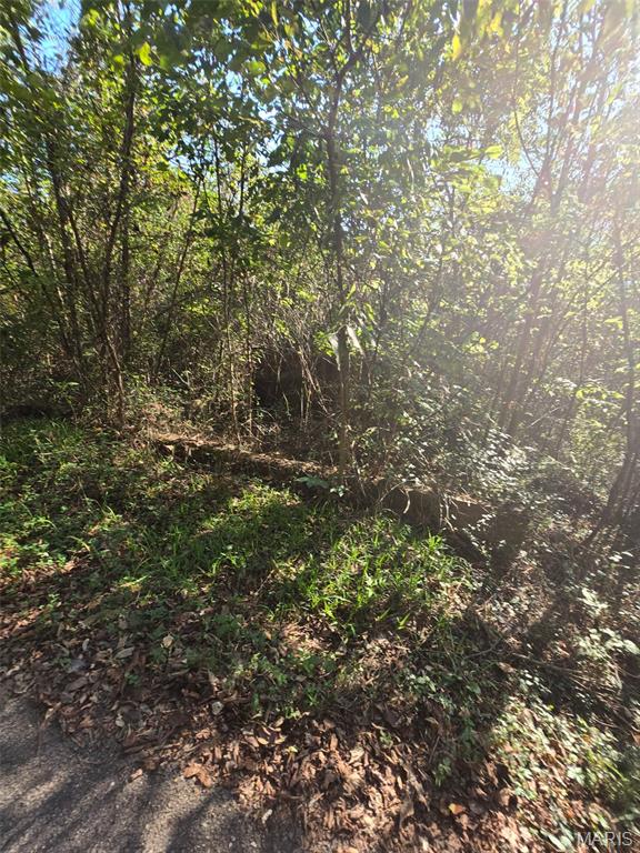 Photo 2 - Land for sale – 570  Sycamore   Newburg, MO