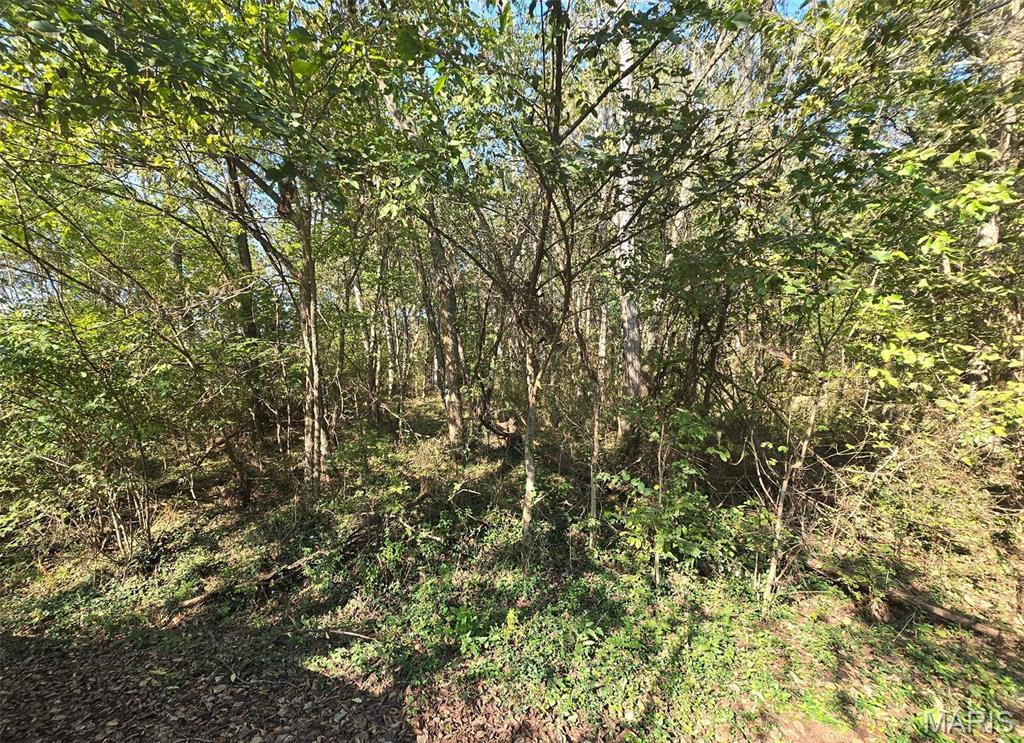 Photo 3 - Land for sale – 570  Sycamore   Newburg, MO