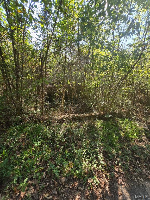 Photo 10 - Land for sale – 570  Sycamore   Newburg, MO